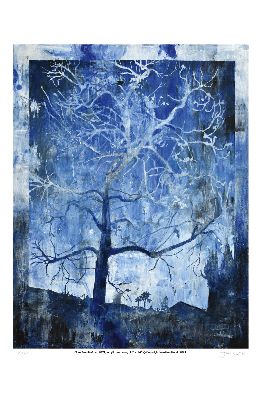 Plane Tree Abstract - Limited Edition Signed Print 12