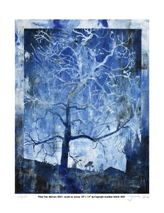Plane Tree Abstract - Limited Edition Signed Print 8.5" x 11"