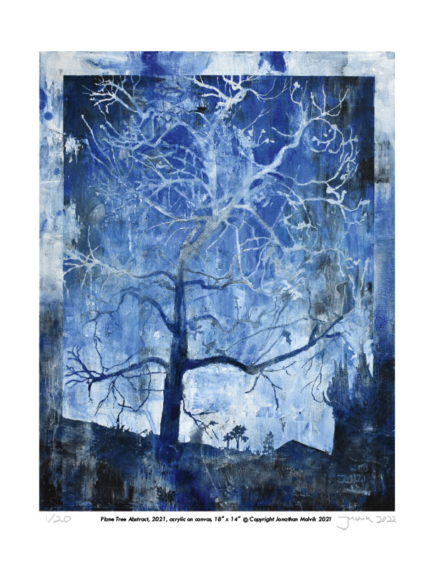 Plane Tree Abstract - Limited Edition Signed Print 8.5