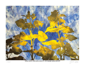 Sunflower Abstract I  - Limited Edition Signed Print 8.5" x 11"