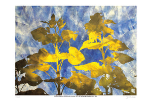 Sunflower Abstract I  - Limited Edition Signed Print 12" x 18"