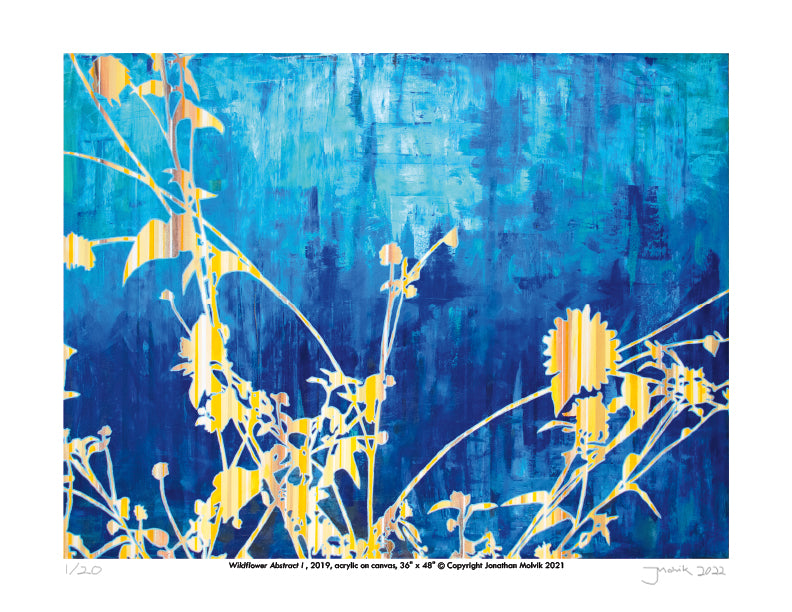 Wildflower Abstract I - Limited Edition Signed Print 8.5