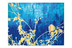 Wildflower Abstract I  - Limited Edition Signed Print 12" x 18"