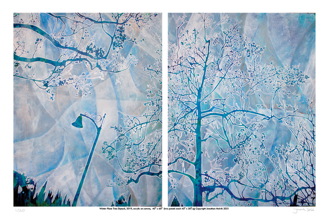 Winter Plane Tree Diptych  - Limited Edition Signed Print 12