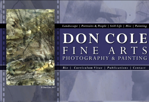 Don Cole Fine Arts Website Design