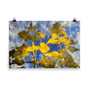 Sunflower Abstract I - Poster