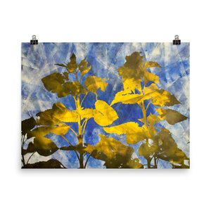 Sunflower Abstract I - Poster